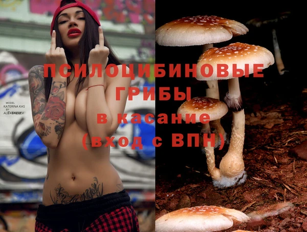 соль ск Алексеевка