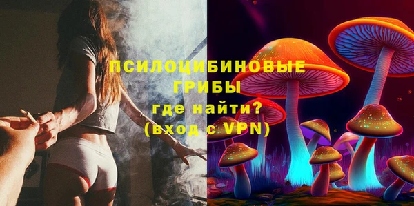 соль ск Алексеевка