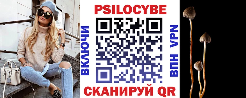купить закладку  Хадыженск  Псилоцибиновые грибы MAGIC MUSHROOMS 